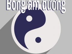 bóng-âm-dương